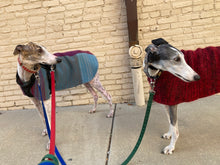 Dog Coat