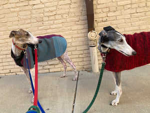 Dog Coat