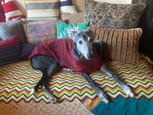 Dog Coat