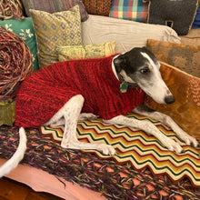 Dog Coat