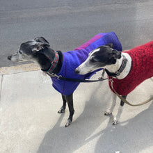 Dog Coat