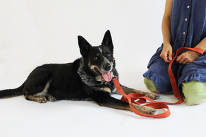 Handwoven Dog Leash